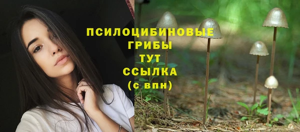 соль ск Баксан