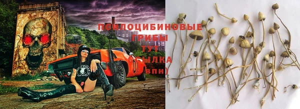 марки nbome Аркадак