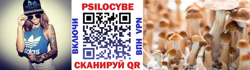 Галлюциногенные грибы Psilocybe  наркошоп  Плавск 